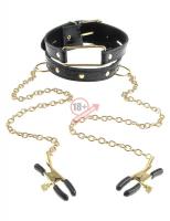 Чёрный с золотом ошейник с зажимами на соски Gold Collar and Nipple Clamps