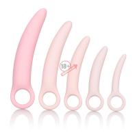 Набор из 5 фаллоимитатров разного размера Sili Dilator 5 P