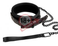 Фиолетово-чёрный ошейник с поводком BLAZE COLLAR AND LEASH PURPLE