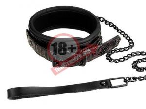 Фиолетово-чёрный ошейник с поводком BLAZE COLLAR AND LEASH PURPLE